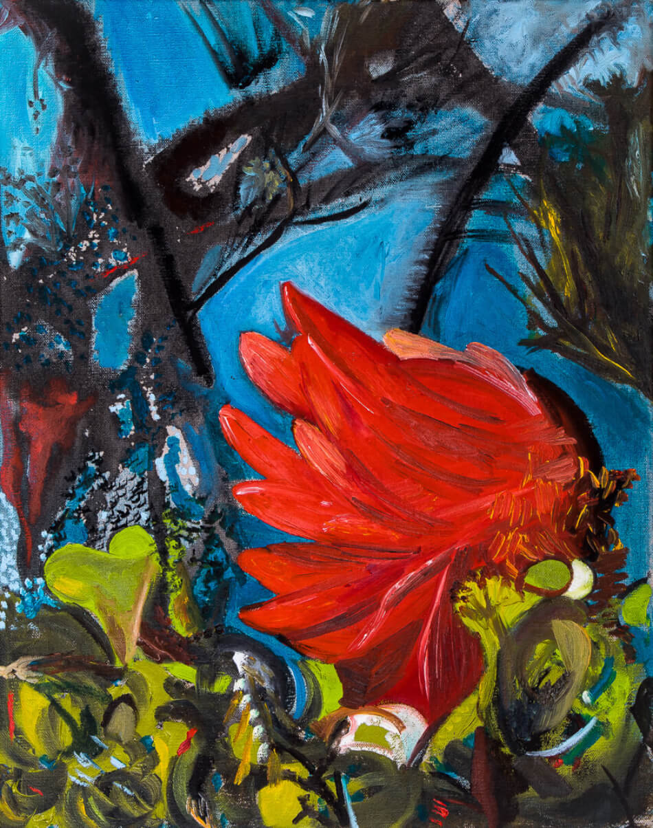 Coral Tree Painting by Helen Thorp